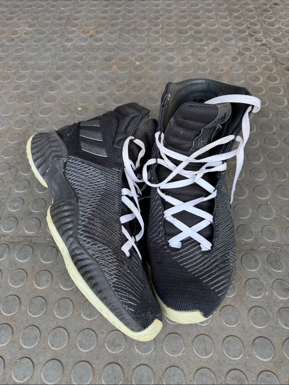 Addidas Men’s High-Top Athletic Sneakers with White Laces